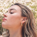 Adeline Hoop