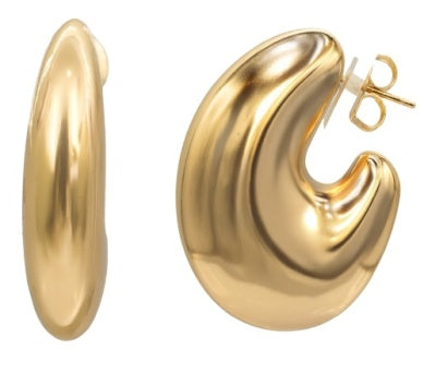 Moony Earring